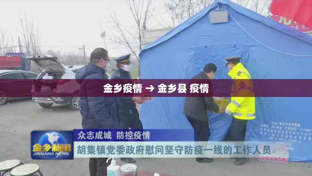 金乡疫情 → 金乡县 疫情 金乡疫情 → 金乡县 疫情