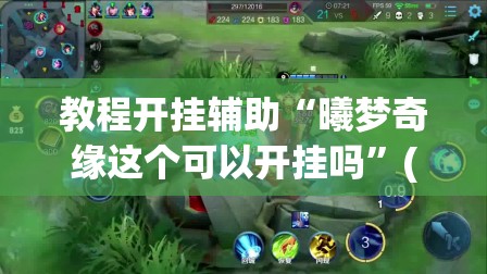 教程开挂辅助“曦梦奇缘这个可以开挂吗”(透视挂)辅助透视教程