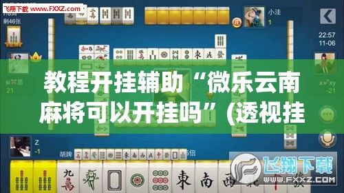 教程开挂辅助“微乐云南麻将可以开挂吗	”(透视挂)辅助透视教程