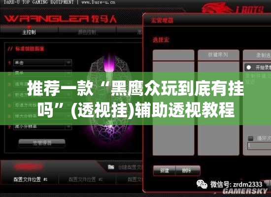 推荐一款“黑鹰众玩到底有挂吗”(透视挂)辅助透视教程