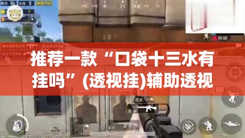 推荐一款“口袋十三水有挂吗	”(透视挂)辅助透视教程