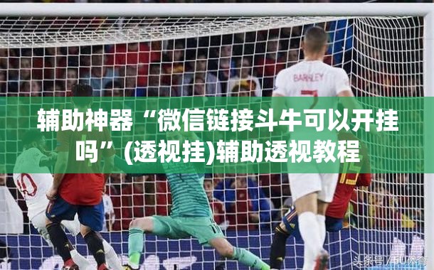 辅助神器“微信链接斗牛可以开挂吗”(透视挂)辅助透视教程