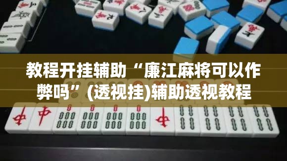 教程开挂辅助“廉江麻将可以作弊吗	”(透视挂)辅助透视教程