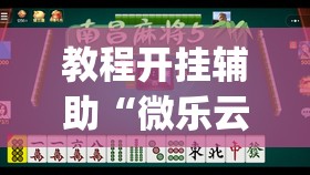 教程开挂辅助“微乐云南麻将怎样免费开挂	”(透视挂)辅助透视教程