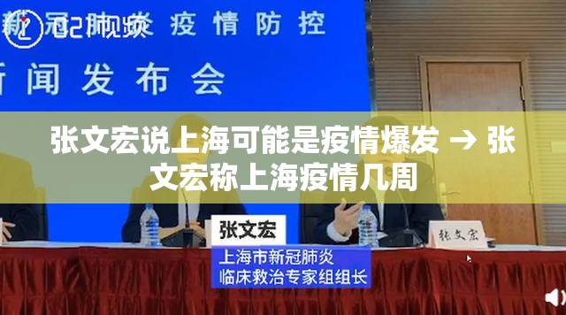 张文宏说上海可能是疫情爆发 → 张文宏称上海疫情几周 张文宏说上海可能是疫情爆发 → 张文宏称上海疫情几周