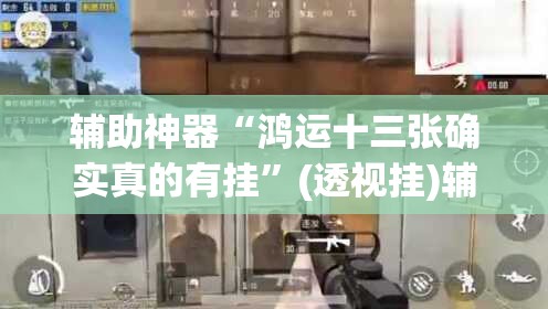 辅助神器“鸿运十三张确实真的有挂”(透视挂)辅助透视教程