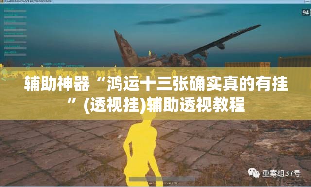 辅助神器“鸿运十三张确实真的有挂”(透视挂)辅助透视教程