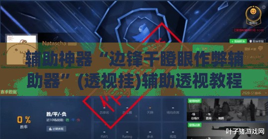 辅助神器“边锋干瞪眼作弊辅助器”(透视挂)辅助透视教程