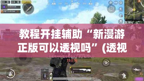 教程开挂辅助“新漫游正版可以透视吗”(透视挂)辅助透视教程