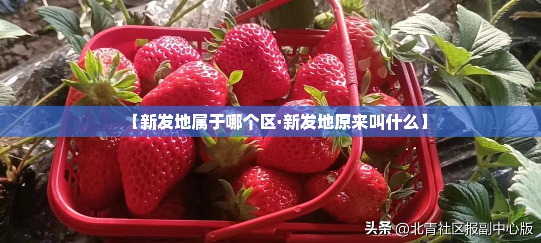 【新发地属于哪个区·新发地原来叫什么】