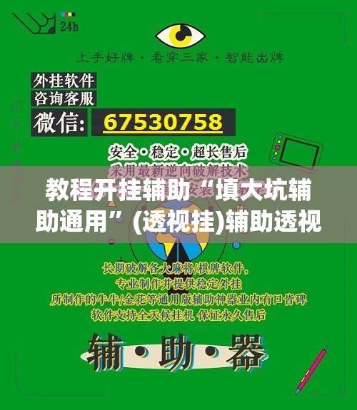 教程开挂辅助“填大坑辅助通用”(透视挂)辅助透视教程