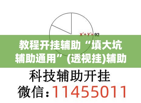 教程开挂辅助“填大坑辅助通用”(透视挂)辅助透视教程