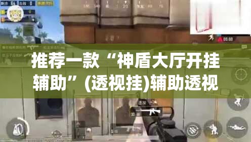 推荐一款“神盾大厅开挂辅助”(透视挂)辅助透视教程