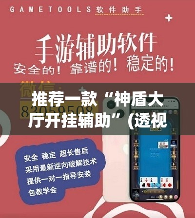 推荐一款“神盾大厅开挂辅助”(透视挂)辅助透视教程