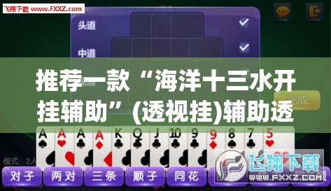 推荐一款“海洋十三水开挂辅助”(透视挂)辅助透视教程