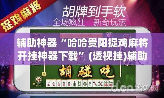 辅助神器“哈哈贵阳捉鸡麻将开挂神器下载”(透视挂)辅助透视教程