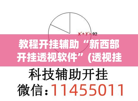 教程开挂辅助“新西部开挂透视软件	”(透视挂)辅助透视教程