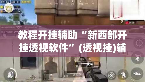 教程开挂辅助“新西部开挂透视软件	”(透视挂)辅助透视教程