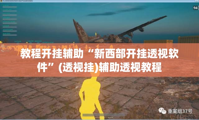 教程开挂辅助“新西部开挂透视软件”(透视挂)辅助透视教程