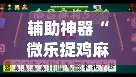 辅助神器“微乐捉鸡麻将开挂教程步骤图”(透视挂)辅助透视教程