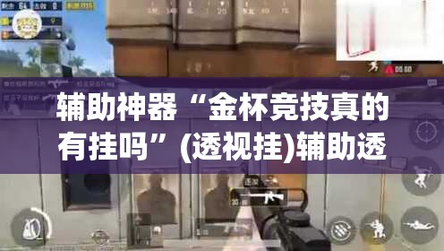 辅助神器“金杯竞技真的有挂吗”(透视挂)辅助透视教程