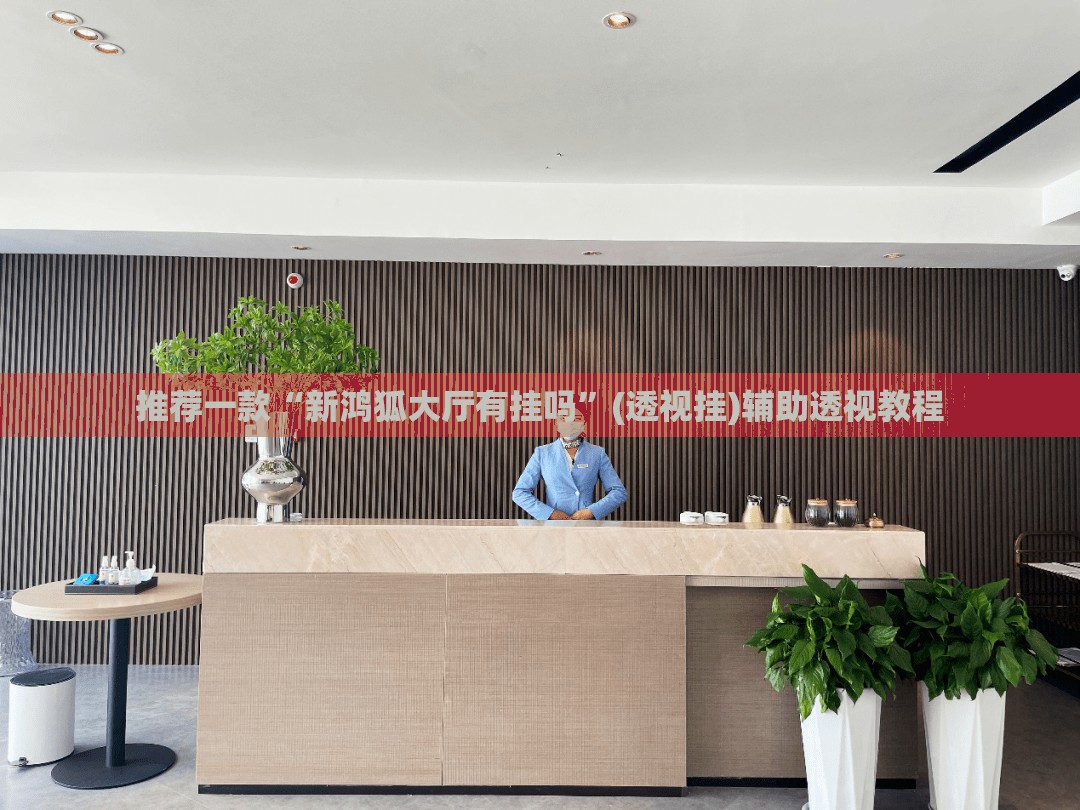 推荐一款“新鸿狐大厅有挂吗”(透视挂)辅助透视教程