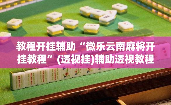 教程开挂辅助“微乐云南麻将开挂教程	”(透视挂)辅助透视教程