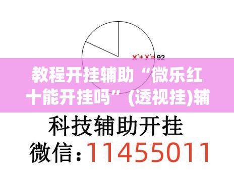 教程开挂辅助“微乐红十能开挂吗”(透视挂)辅助透视教程