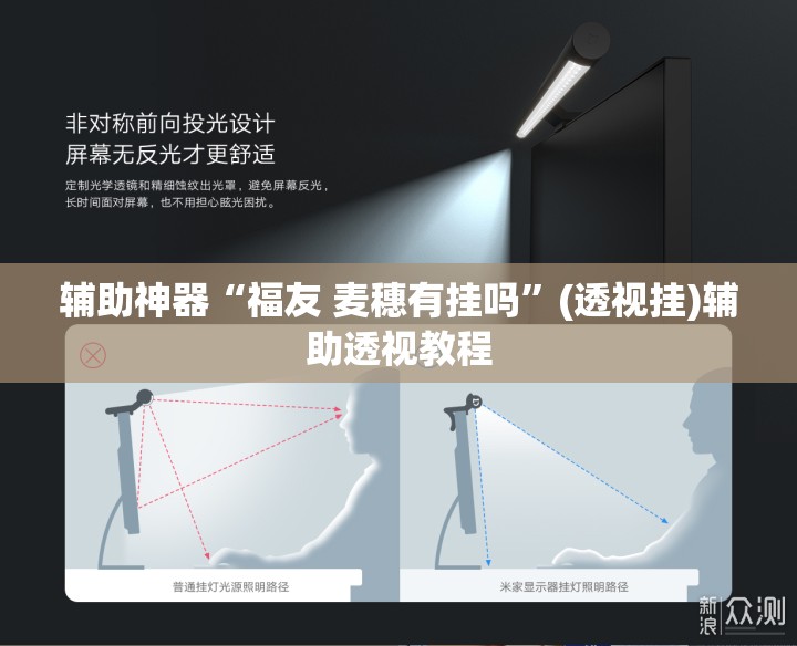 辅助神器“福友 麦穗有挂吗”(透视挂)辅助透视教程