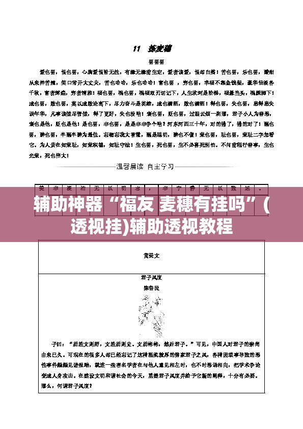 辅助神器“福友 麦穗有挂吗”(透视挂)辅助透视教程