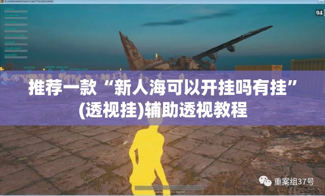 推荐一款“新人海可以开挂吗有挂	”(透视挂)辅助透视教程