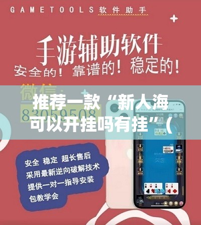 推荐一款“新人海可以开挂吗有挂”(透视挂)辅助透视教程