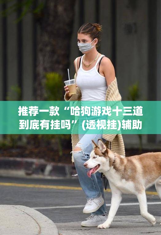 推荐一款“哈狗游戏十三道到底有挂吗	”(透视挂)辅助透视教程