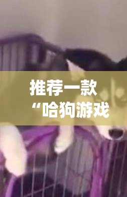推荐一款“哈狗游戏十三道到底有挂吗”(透视挂)辅助透视教程