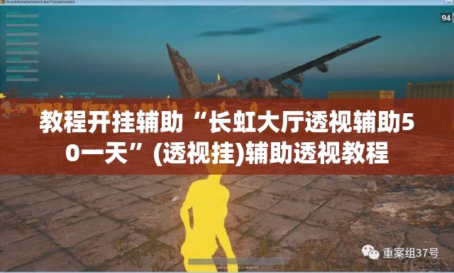 教程开挂辅助“长虹大厅透视辅助50一天	”(透视挂)辅助透视教程