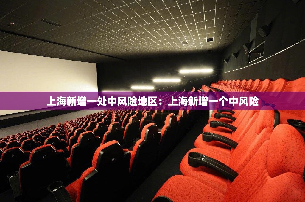 上海新增一处中风险地区:上海新增一个中风险 上海新增一处中风险地区:上海新增一个中风险