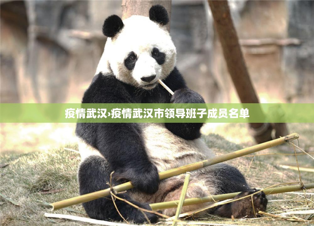 疫情武汉›疫情武汉市领导班子成员名单 疫情武汉›疫情武汉市领导班子成员名单