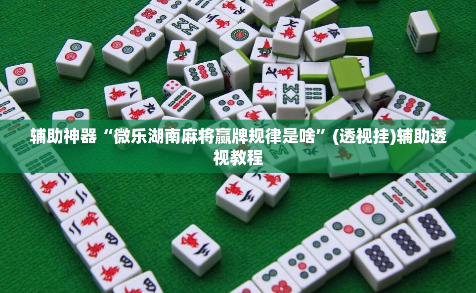 辅助神器“微乐湖南麻将赢牌规律是啥”(透视挂)辅助透视教程
