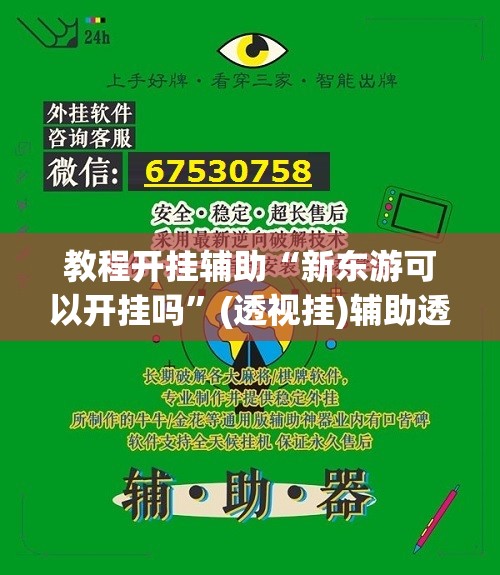 教程开挂辅助“新东游可以开挂吗”(透视挂)辅助透视教程