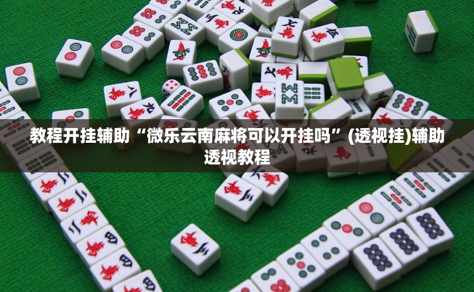 教程开挂辅助“微乐云南麻将可以开挂吗”(透视挂)辅助透视教程