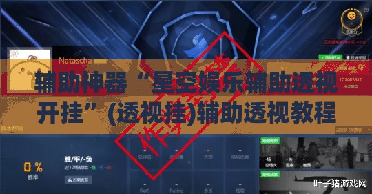 辅助神器“星空娱乐辅助透视开挂”(透视挂)辅助透视教程