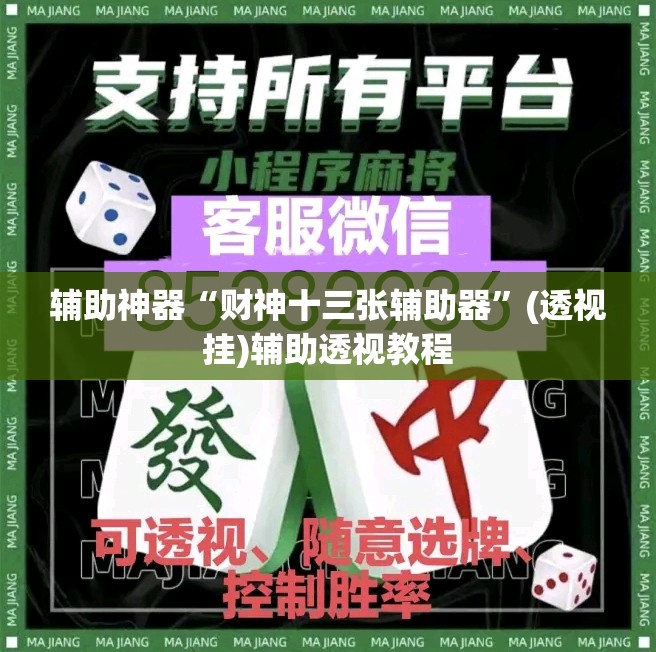 辅助神器“财神十三张辅助器”(透视挂)辅助透视教程