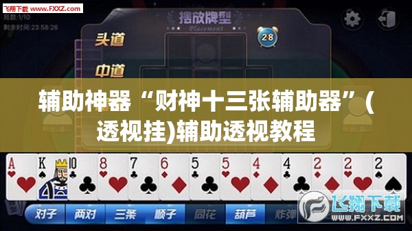 辅助神器“财神十三张辅助器”(透视挂)辅助透视教程