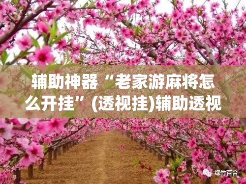 辅助神器“老家游麻将怎么开挂”(透视挂)辅助透视教程