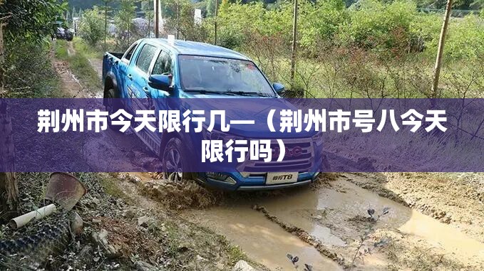 荆州市今天限行几—(荆州市号八今天限行吗) 荆州市今天限行几—(荆州市号八今天限行吗)