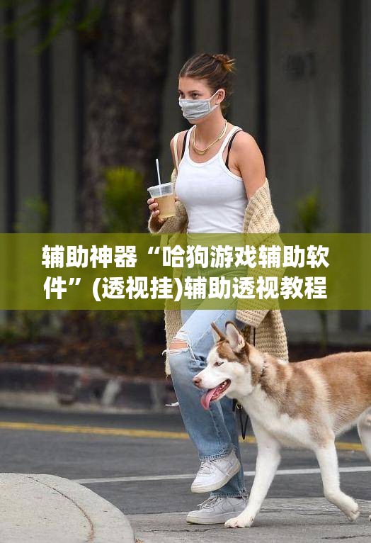 辅助神器“哈狗游戏辅助软件”(透视挂)辅助透视教程