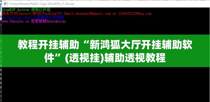 教程开挂辅助“新鸿狐大厅开挂辅助软件	”(透视挂)辅助透视教程