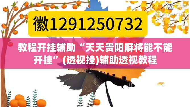 教程开挂辅助“天天贵阳麻将能不能开挂”(透视挂)辅助透视教程