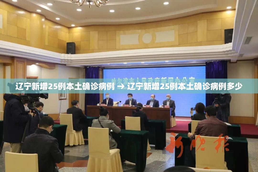 辽宁新增25例本土确诊病例 → 辽宁新增25例本土确诊病例多少