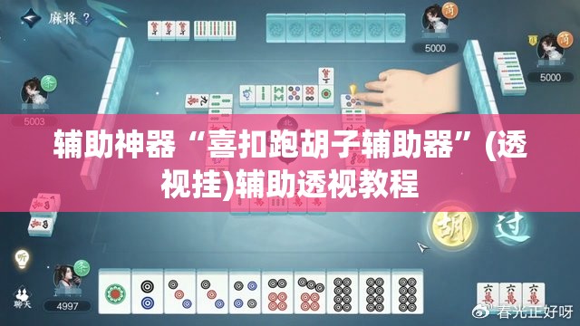 辅助神器“喜扣跑胡子辅助器”(透视挂)辅助透视教程